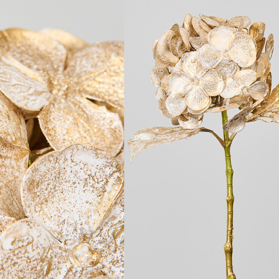 Hortensia Dorada