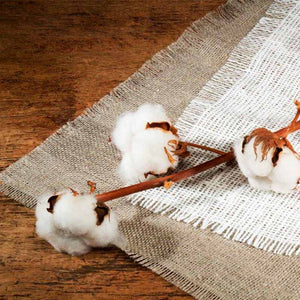 ECO LUXURY bed by Ecolife