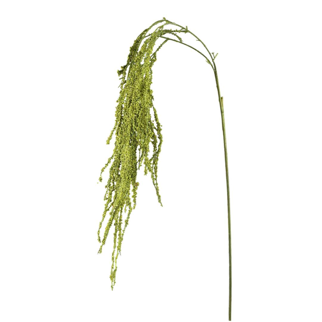 amaranth branch