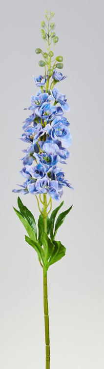 Delphinium Azul