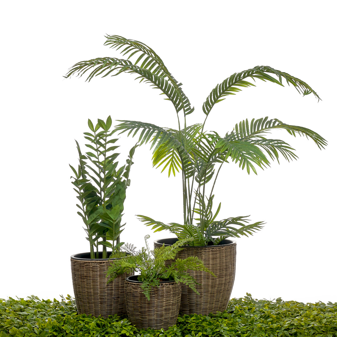 Planta artificial - Zamifolia