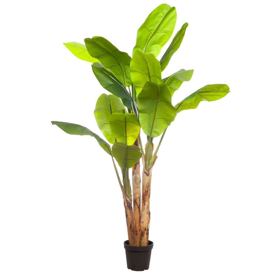 Planta artificial Platanera