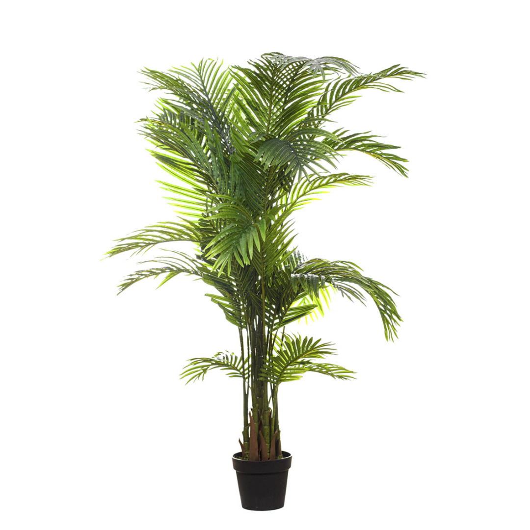 Planta artificial Chrysalidocarpus