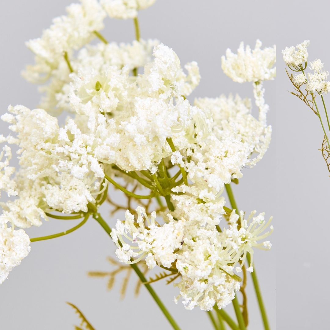 Rama tradescantia blanca