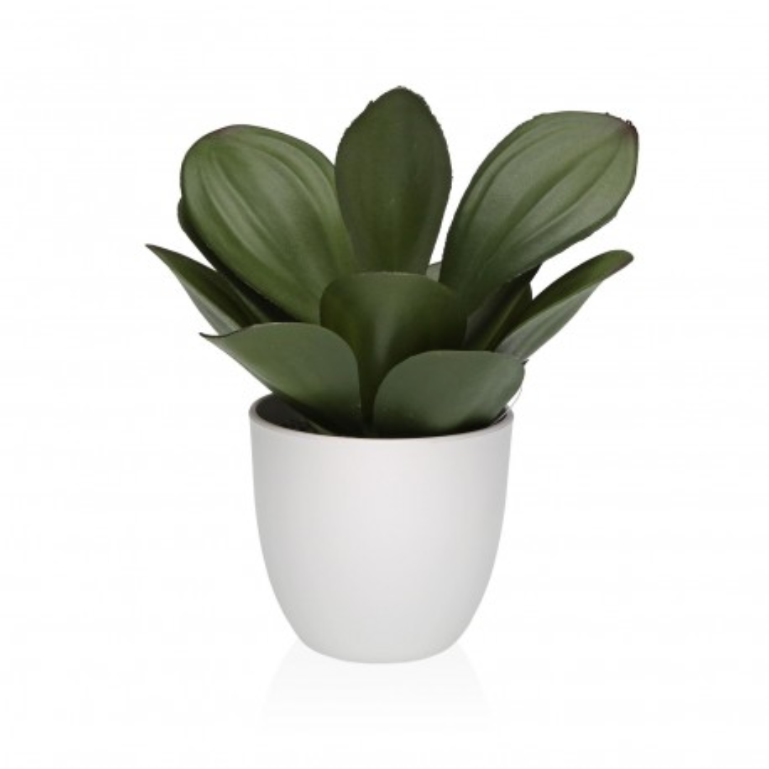 Maceta decorativa 23cm