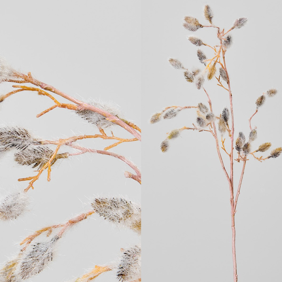 Rama seca escarchada