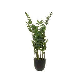 Planta artificial - Zamifolia