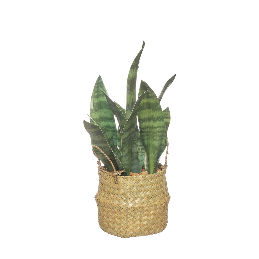 Planta artificial Sansevieria