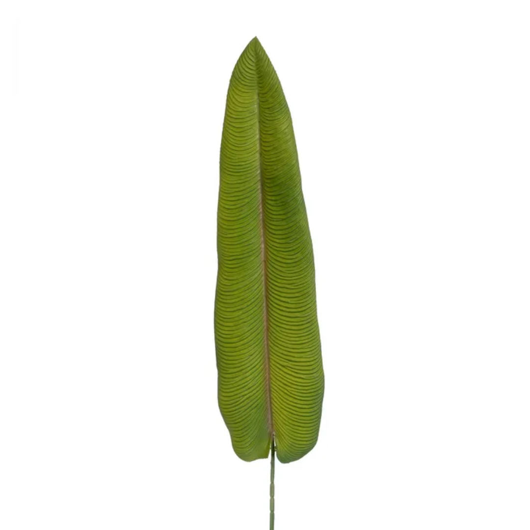 Hoja Mango