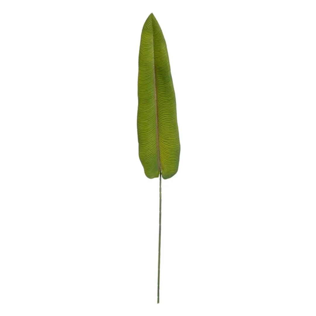 Hoja Mango