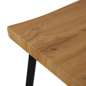 Mesa Lizzy