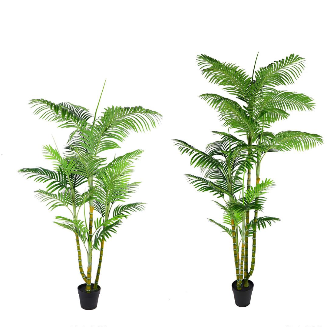 Palmera 260cm