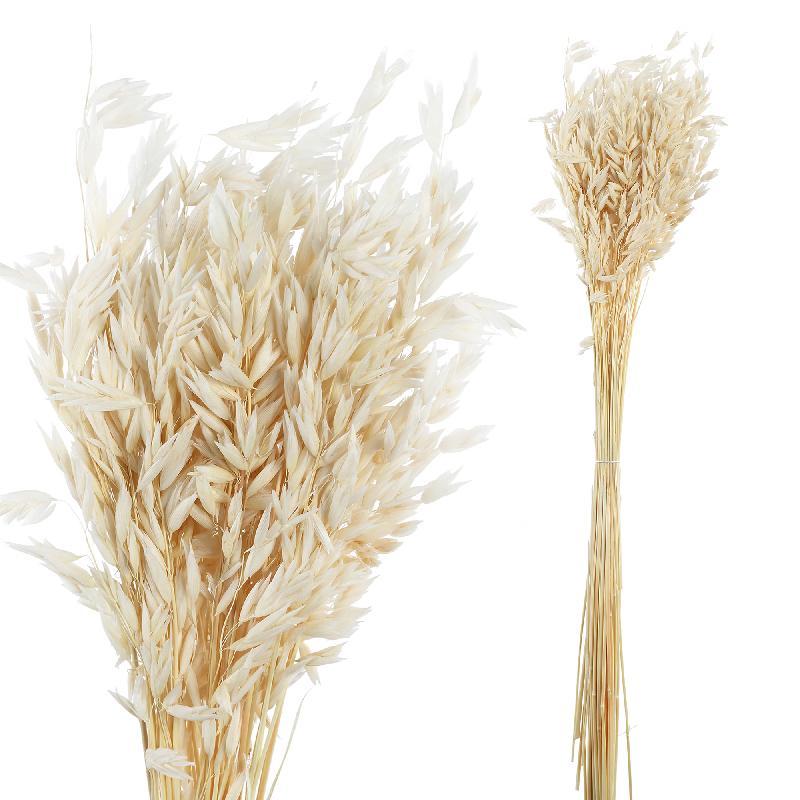 Hojas Secas Natural de Avena - bdhome Marbella