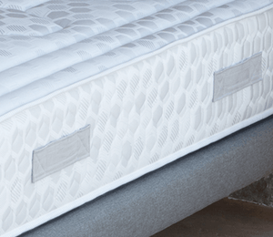 evolution mattress