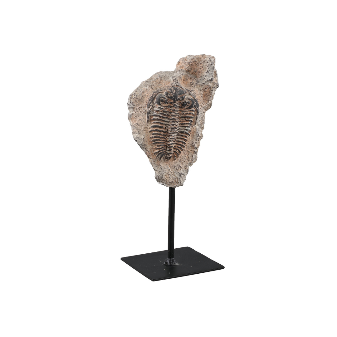 Fossil Statue